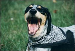 Click to view exif information